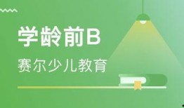 哈尔滨教育爆料视频最新,揭秘校园内幕，关注学生权益